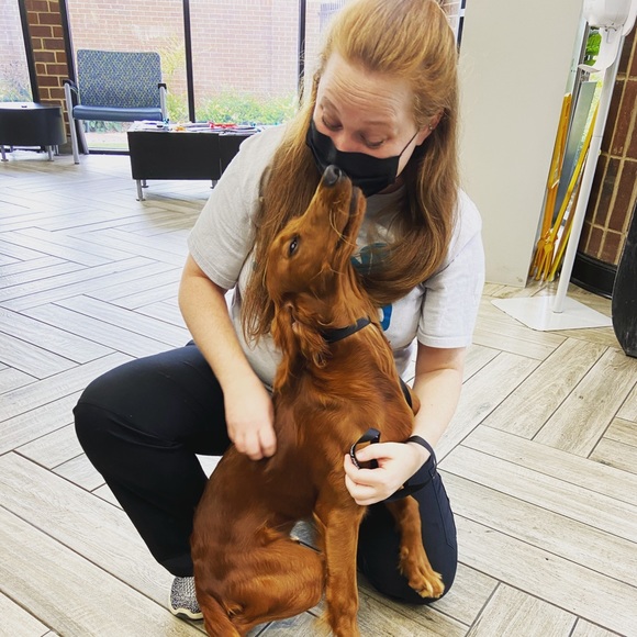 Meet your Posher, Katelyn - Picture 1 of 1